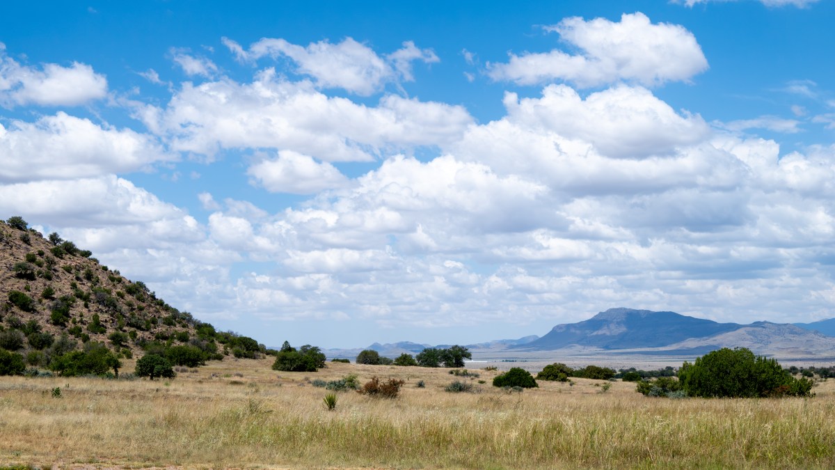 Chihuahuan Desert Nature&nbsp;Center